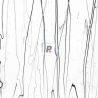 Streamer Blanco y Negro 4171 22x25.5cm