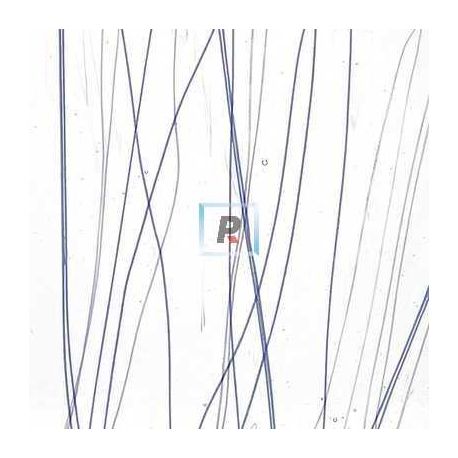 Streamer Azul y Blanco 4172 89x51cm