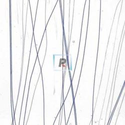 Streamer Azul y Blanco 4172 44.5x25.5cm