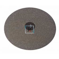 Disco Pulidora 6" 275 Grit Diamond 