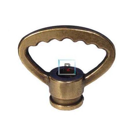 Asas Cuero de Ø38 mm