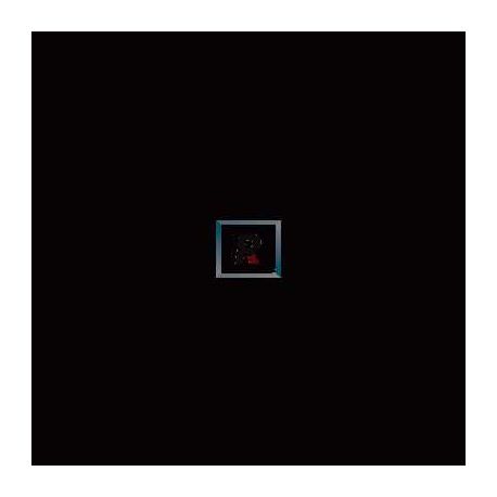 Strong Black Grisaille 650ºC 100 gr.