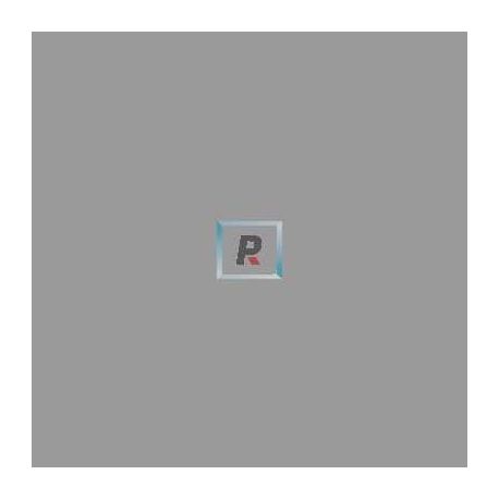 Grisalla Gris 650ºC 100 gr.