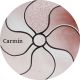 Carmine Grisaille 620ºC - 750ºC 100 gr.