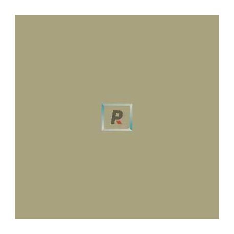 Esmalte Opaco Beige 580-630ºC 100 gr.