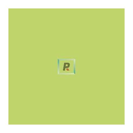 Esmalte Opaco Amarillo 780-850ºC 100 gr.