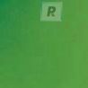 Frits F7-121-96 Light Green