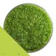 1426 Spring Green Transparent