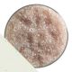 Fritas Transparente Rosa Ruibarbo 1859 Medio (454g)
