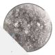 1829 Gray Transparent Tint