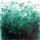 0078 Dark Green FF/3 250 Gr