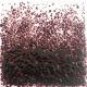 0112 Light Violet FF/3 250 Gr