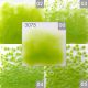 FF/3 Opalina Verde Pistacho 3075 250 Gr