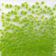 FF/4 Opalina Verde Pistacho 3075 250 Gr