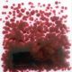 4005 Gold Ruby FF/4 250 Gr