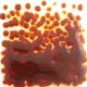 FF/5 Ambar 0165 250 Gr