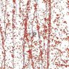 Mardi Gras Rojo 4224 89x51cm