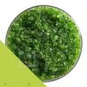 1426 Spring Green Transparent