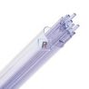1442 Neo-Lavender Shift Trp. Stringer 2mm
