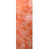 303-T/S Salmon Reactive