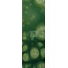 304-T/S Apple Green Reactive