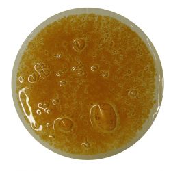 Burbuja Naranja Opaco CBC34K 200GR.