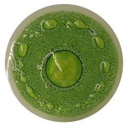 Burbuja Verde Transparente CBT04K 200GR.