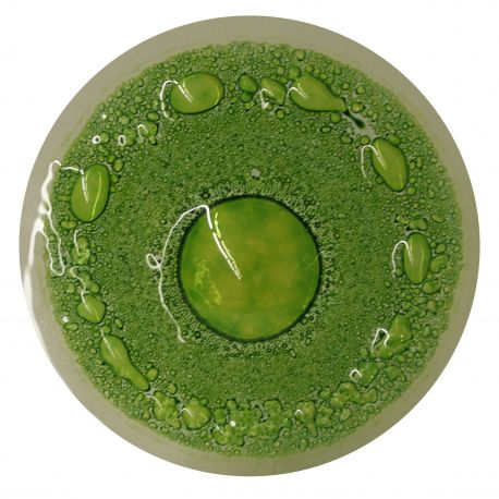 Burbuja Verde Transparente CBT04K 200GR.