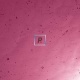 2-2 Purple Dark Pink Cathedral Antic