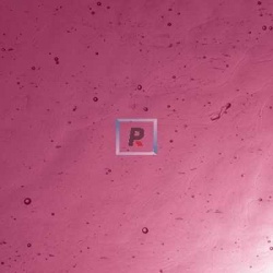 2-2 Purple Dark Pink Cathedral Antic