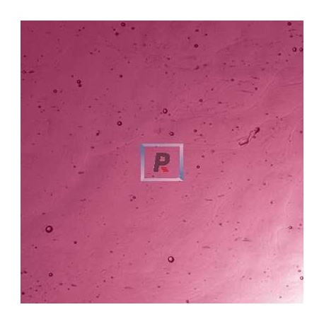 2-2 Purple Dark Pink Cathedral Antic