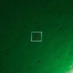 4-5 Dark Green Cathedral Antic