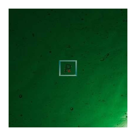 4-5 Dark Green Cathedral Antic