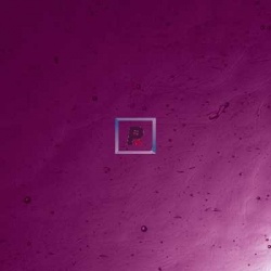 31-1 Light Grape Antic Cathedral