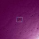 Catedral Antic 32-2 Morado Oscuro