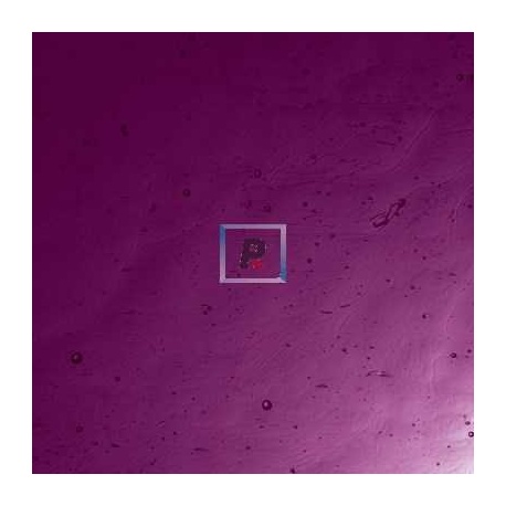 32-2 Dark Grape Antic Cathedral