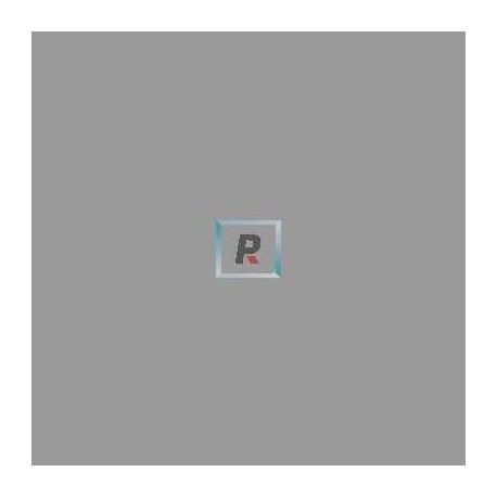 Grey Grisaille 650ºC 100 gr.