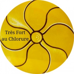 Silver Yellow Very Strong au Chlorure 580º-750ºC 100gr.